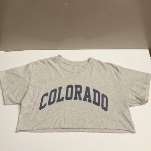 Brandy Melville Crop Top